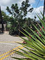 Cycad Palm Hotel