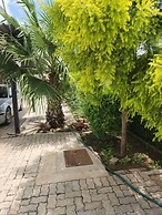 Cycad Palm Hotel