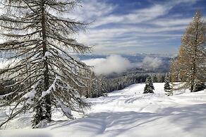 Berghotel Pine
