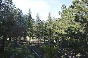 Poggio Eco B&B