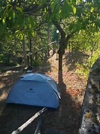 Poggio Eco B&B