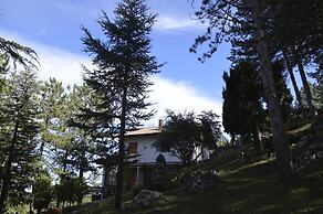 Poggio Eco B&B