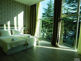 Resort Martvili