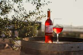 Vinos Xecué