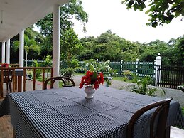 Jungle View Guest