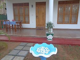 Jungle View Guest