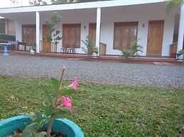 Jungle View Guest