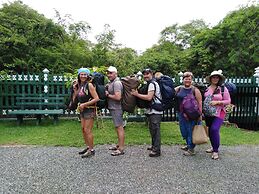 Jungle View Guest
