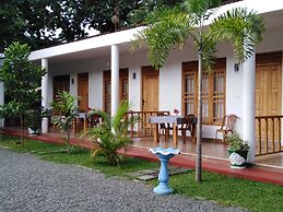Jungle View Guest