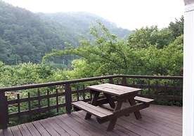 Ravine House