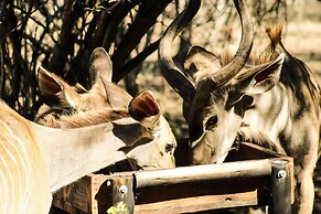 HomeBase Kruger - Hostel