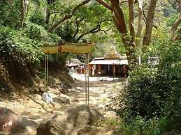 Orchard Valley Resort