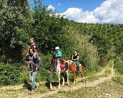 Agriturismo Il Giardino