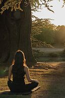The Langley, a Luxury Collection Hotel, Buckinghamshire