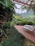 Finca Paraiso Mountain Retreat