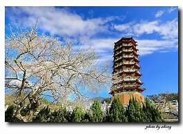Tan Hui Hotel
