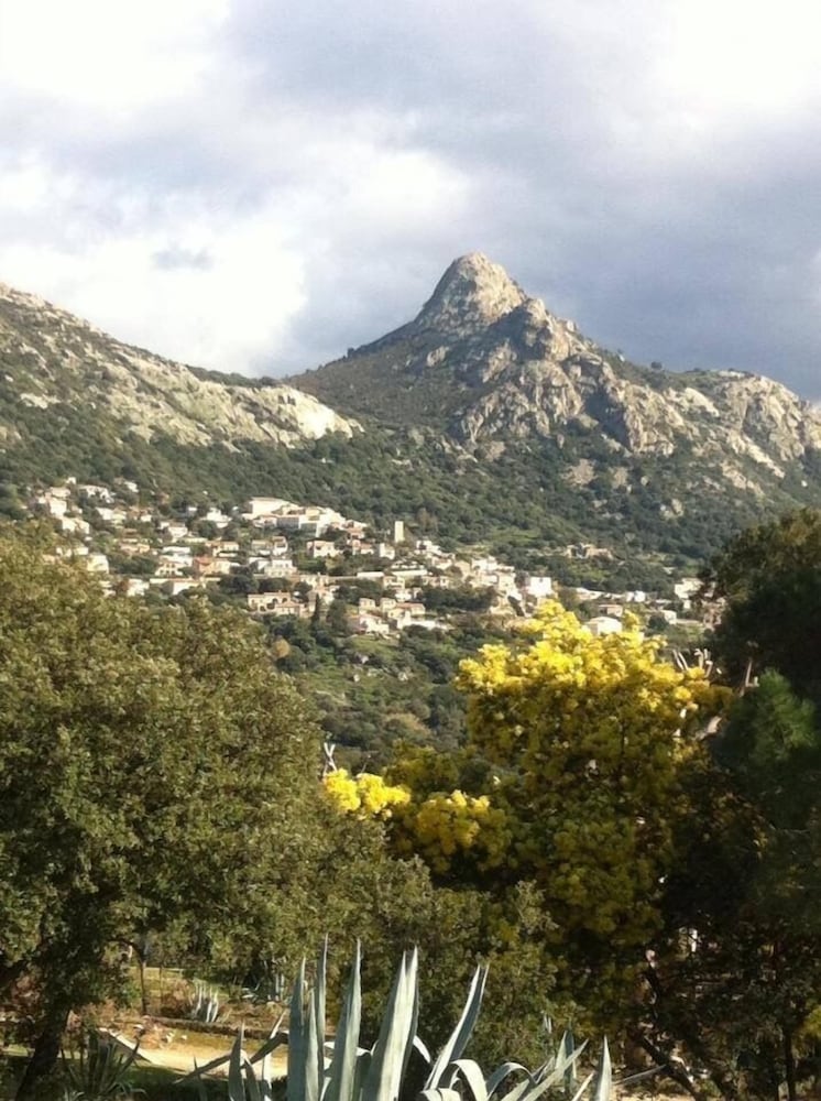 Monte Ortu