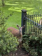 Amante Luxury B&B