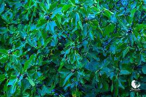 Hotel Rural Imada