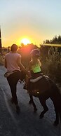 Arion Stables & Apartments