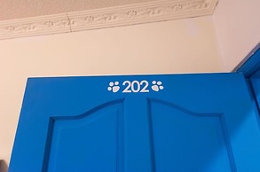 Dog House