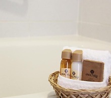 Hotel Mochiks