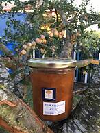 Sleeping Bio Tea - B&B