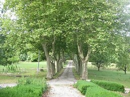 Domaine de Calbiac - On the boardwalk