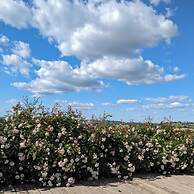 Domaine de Calbiac - On the boardwalk