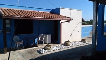 Gecko's House