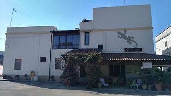 Gecko's House