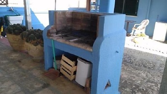 Gecko's House