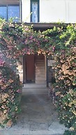 Gecko's House