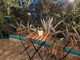 CABO BOHEMIA Tropical Garden Studios