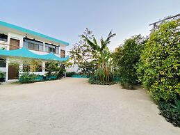 CABO BOHEMIA Tropical Garden Studios