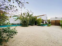 CABO BOHEMIA Tropical Garden Studios
