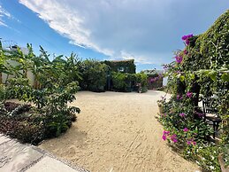 CABO BOHEMIA Tropical Garden Studios