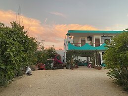 CABO BOHEMIA Tropical Garden Studios