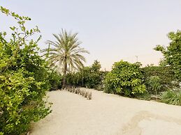 CABO BOHEMIA Tropical Garden Studios