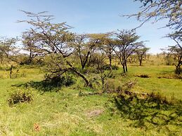 Nyumbu Camp