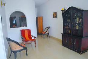 Yoho New Casa Mark