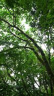 Apartamento Rio Celeste Dreams