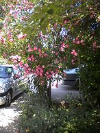 Apartmani Lastavica