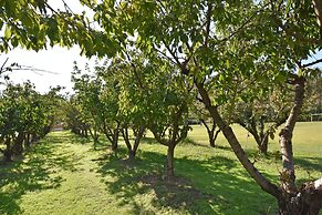 Camping Le Sagone
