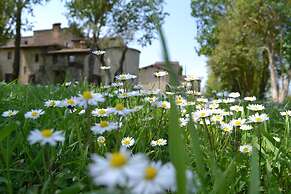 Agriturismo Nestore