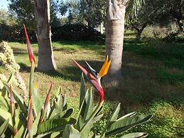 Verdeoliva Bed & Breakfast