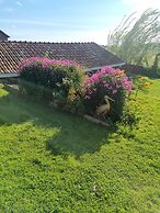 Paradiset