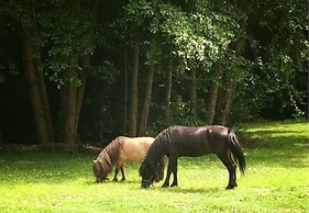 Domaine Du Moulin Neuf