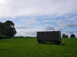 Glamping Thorpe