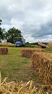 Glamping Thorpe